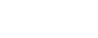 TNT logo.